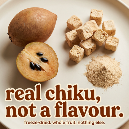 Yeast Protein Isolate | Chikoo
