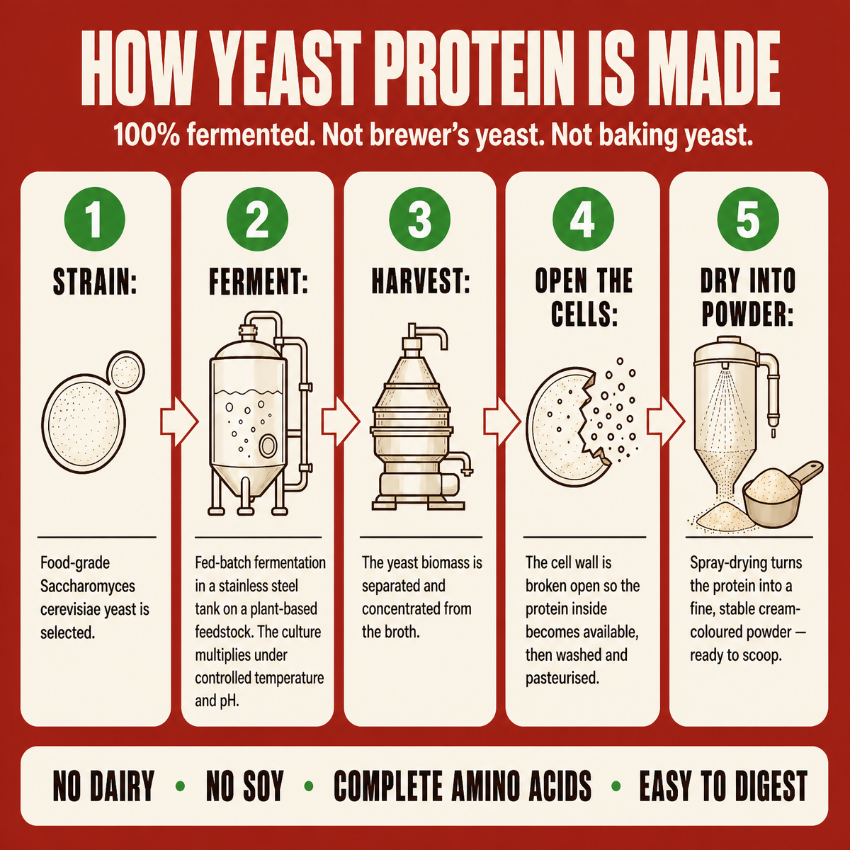 Fermented Yeast Protein | Apple Cinnamon